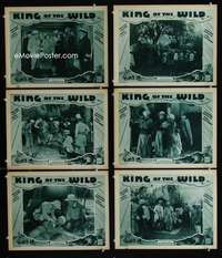 e388 KING OF THE WILD 6 Chap 2 movie lobby cards '31 great graphics!