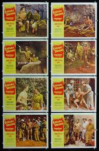 e163 SAFARI DRUMS 8 movie lobby cards '53 Bomba the Jungle Boy!