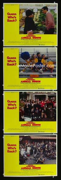 f014 ANIMAL HOUSE 4 movie lobby cards R79 John Belushi, Landis classic!