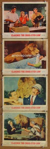 f041 CLARENCE THE CROSS-EYED LION 4 movie lobby cards '65 Africa safari!