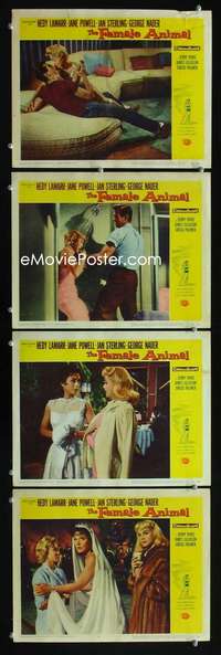 f061 FEMALE ANIMAL 4 movie lobby cards '58 Hedy Lamarr, Jane Powell