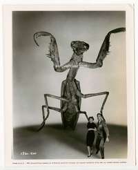 h729 DEADLY MANTIS 8x10 movie still '57 great special effects image!
