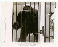 h822 MONSTER & THE GIRL 8x10 movie still '41 giant ape behind bars!