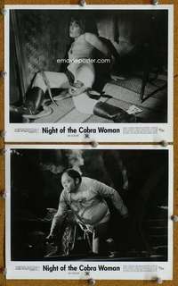 h987 NIGHT OF THE COBRA WOMAN 2 8x10 movie stills '72 snakes!