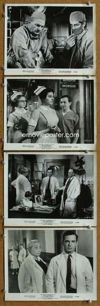 s341 YOUNG DOCTORS 8 8x10 movie stills '61 Fredric March, Gazzara