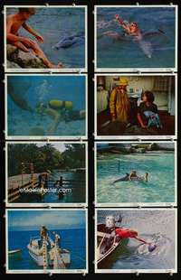s520 FLIPPER 8 8x10 mini movie lobby cards '63 Connors, Luke Halpin, dolphin!