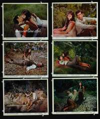 s589 GREEN MANSIONS 6 color 8x10 movie stills '59 Hepburn, Perkins