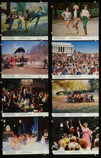 s529 HAIR 8 8x10 mini movie lobby cards '79 Milos Forman, Treat Williams, musical