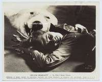 y234 SYLVIA SCARLETT 8x10 movie still '35 Kate Hepburn w/bear rug!