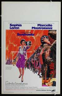 z326 SUNFLOWER window card movie poster '70 Vittorio De Sica, Sophia Loren