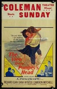 z365 VIEW FROM POMPEY'S HEAD window card movie poster '55 passing for white!