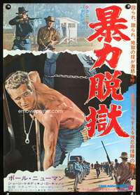 c501 COOL HAND LUKE Japanese movie poster '67 Paul Newman classic!