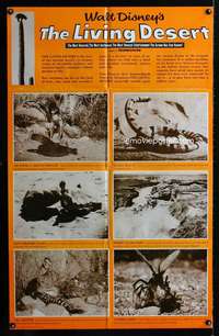 k448 LIVING DESERT one-sheet movie poster R62 Disney nature documentary!