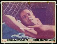 v303 COOL HAND LUKE movie lobby card #4 '67 best Paul Newman c/u!