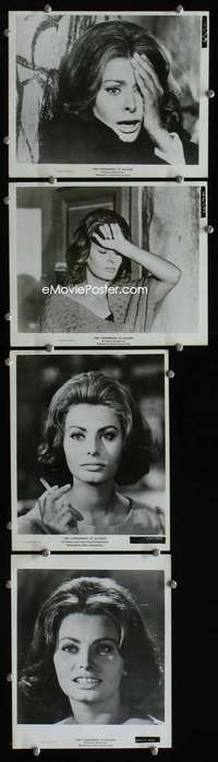 w246 CONDEMNED OF ALTONA 4 8x10 movie stills '63 Sophia Loren c/u!