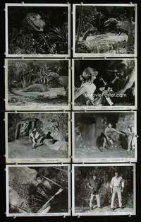 w112 DINOSAURUS 8 8x10 movie stills '60 wild prehistoric monsters!