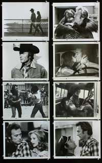 w039 EVERY WHICH WAY BUT LOOSE 19 8x10 movie stills '78 Eastwood