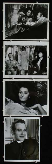 w285 LADY L 4 8x10 movie stills '66 Sophia Loren, Paul Newman, Niven