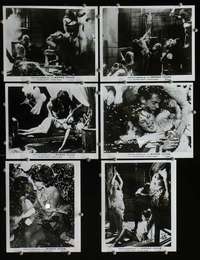 w197 MONDO CANE 2 6 8x10 movie stills '64 bizarre human oddities!