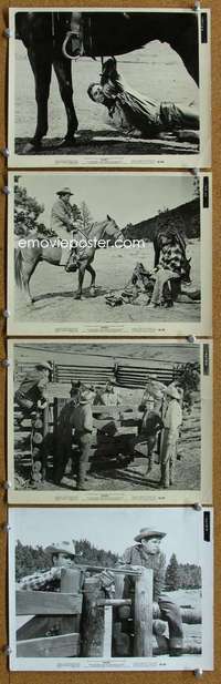 w324 SMOKY 4 8x10 movie stills '66 Fess Parker, outlaw mustang!