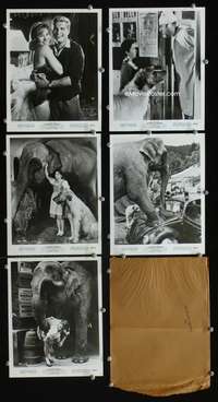 b436 BASHFUL ELEPHANT 5 8x10 movie stills '62 Mollie Mack, Schmid