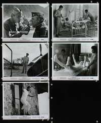 b438 CATCH 22 5 8x10 movie stills '70 Mike Nichols, Joseph Heller
