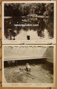 b519 REVENGE OF THE CREATURE 2 8x10 movie stills '55 he's saved!