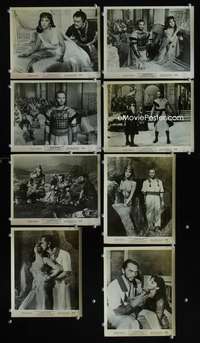 b366 SOLOMON & SHEBA 8 8x10 movie stills '59 Brynner, Lollobrigida