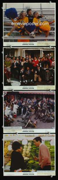 b152 ANIMAL HOUSE 4 8x10 mini movie lobby cards '78 Belushi, Landis