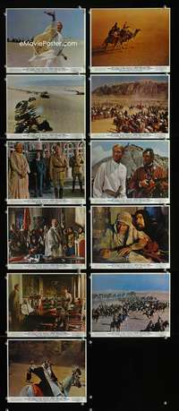 b013 LAWRENCE OF ARABIA 11 color 8x10 movie stills R71 David Lean
