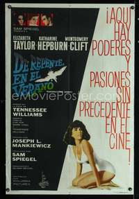 d319 SUDDENLY LAST SUMMER Argentinean movie poster '60 Liz Taylor