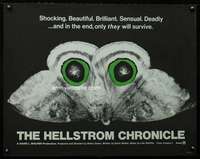 e278 HELLSTROM CHRONICLE half-sheet movie poster '71 cool moth image!