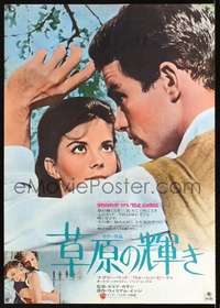 e864 SPLENDOR IN THE GRASS Japanese movie poster R72 Natalie Wood, Beatty