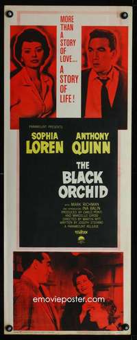 f233 BLACK ORCHID insert movie poster '59 Anthony Quinn, Sophia Loren