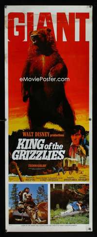 f394 KING OF THE GRIZZLIES insert movie poster '70 Walt Disney bears!