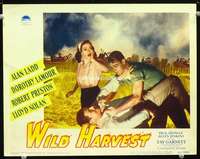 m869 WILD HARVEST movie lobby card '47 Alan Ladd, Dorothy Lamour