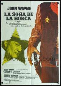 p113 CAHILL Spanish movie poster '73 classic Marshall John Wayne!