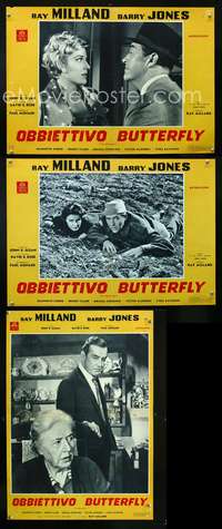 w320 SAFECRACKER 3 Italian photobusta movie posters '58 Ray Milland