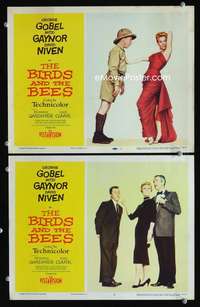 z115 BIRDS & THE BEES 2 movie lobby cards '56 Niven, Gobel, Gaynor