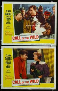 z162 CALL OF THE WILD 2 movie lobby cards R53 Gable, Loretta Young