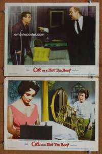 z173 CAT ON A HOT TIN ROOF 2 movie lobby cards '58 Liz Taylor, Newman
