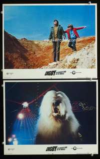 z238 DIGBY THE BIGGEST DOG IN THE WORLD 2 movie lobby cards '74