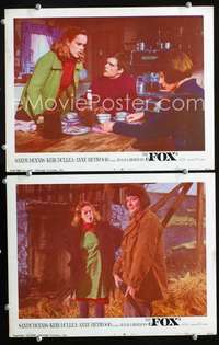 z306 FOX 2 movie lobby cards '68 Sandy Dennis, Anne Heywood, Dullea