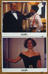 z308 FRESHMAN 2 movie lobby cards '90 Matthew Broderick, Marlon Brando