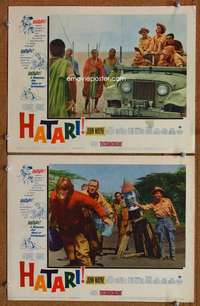 z376 HATARI 2 movie lobby cards '62 John Wayne, Howard Hawks, Africa!