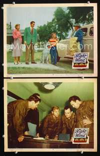 z617 NIGHT WIND 2 movie lobby cards '48 Charles Russell with dog!