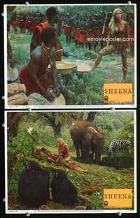 z770 SHEENA 2 movie lobby cards '84 sexy Tanya Roberts in Africa!