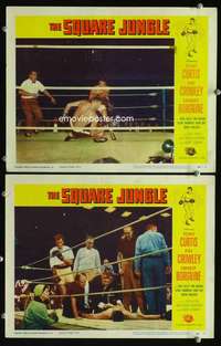 z821 SQUARE JUNGLE 2 movie lobby cards '56 boxer Tony Curtis in ring!