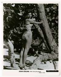 a276 JOAN COLLINS 8x10 movie still '50s in sexiest bikini by tree!