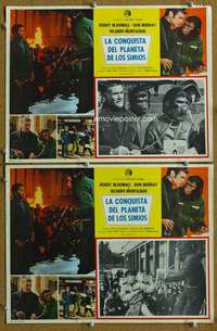 c298 CONQUEST OF THE PLANET OF THE APES 2 Mexican movie lobby cards '72